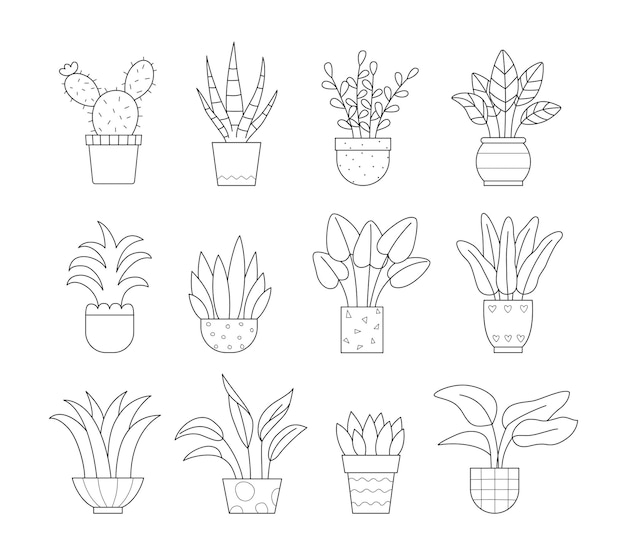 Set of house plants in the pots isolated vector linear illustration on white background