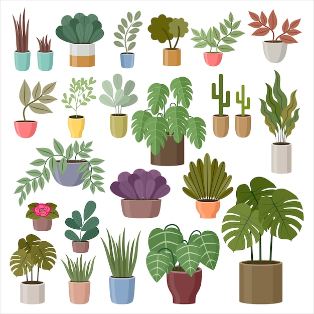 Vector set of house plants on a white background.