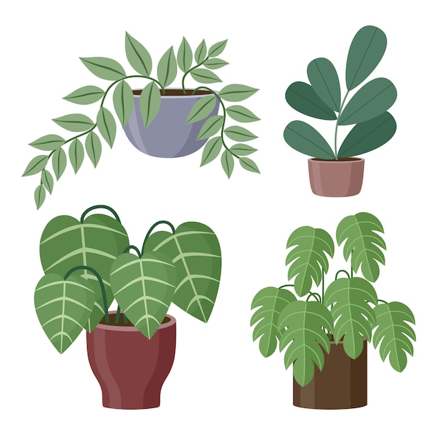 Vector set of house plants