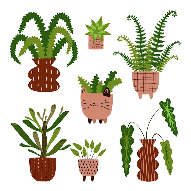 Set house plants
