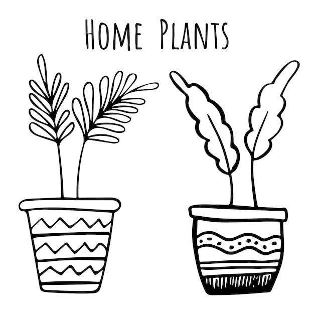 Набор векторных иллюстраций комнатных растений с простым дизайном каракули линии