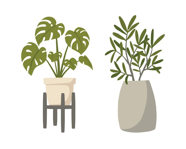 Set of houseplants in a vase Vector illustration