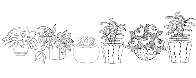 Set huisplanten in potten