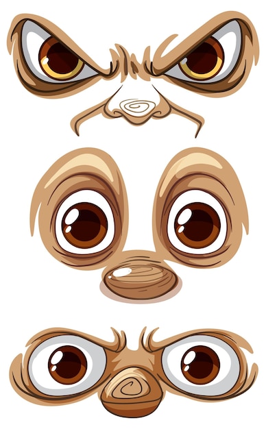 Vector set of human eyes