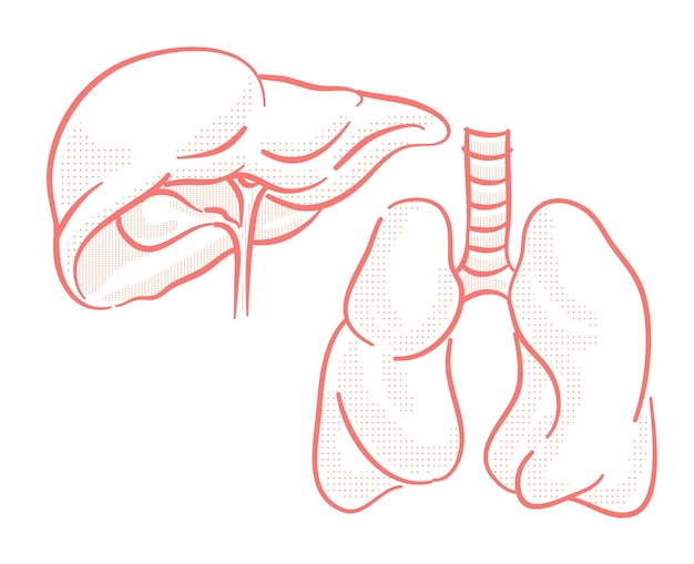 Vector set of human organs illustration for design element