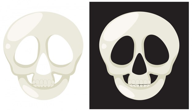 Vector set of human skull