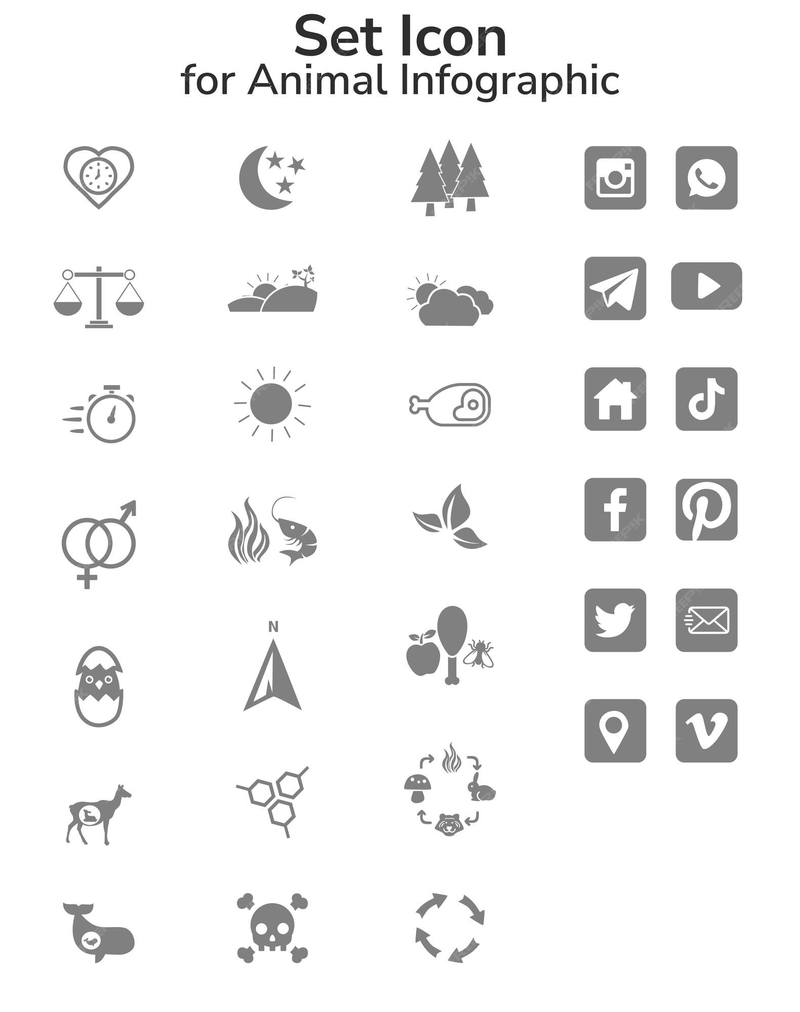 Premium Vector | Set icon for animal infographic