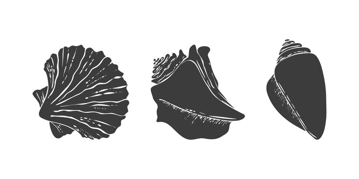 Vector set icon seashells silhouettes mollusk pectinida conch scallop dark silhouettes on white backgr