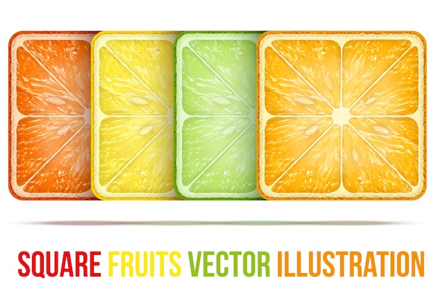 Vector set of icons square fruits slices.