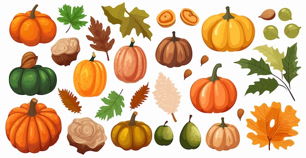 Premium Vector | Set of icons with pumpkins leaves vegetable fruits and ...