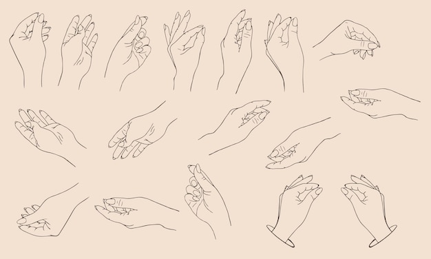 Vector set of icons womens hands in a trendy minimal style female hands with various gestures