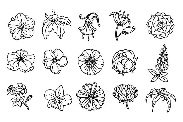 Vector set if bloemdecoratie in zwarte kleur