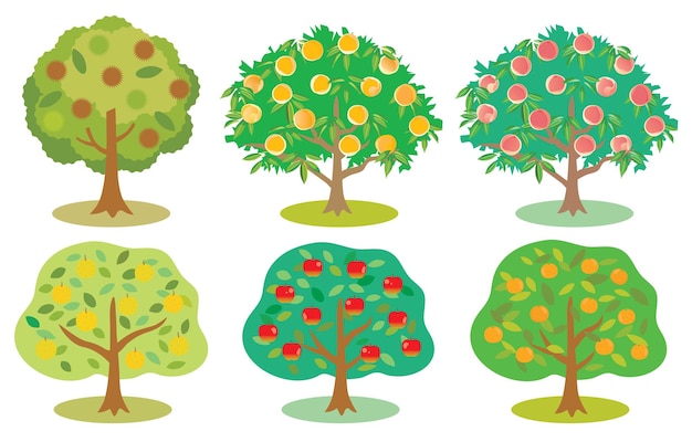 Vector set illustration of the fruit tree