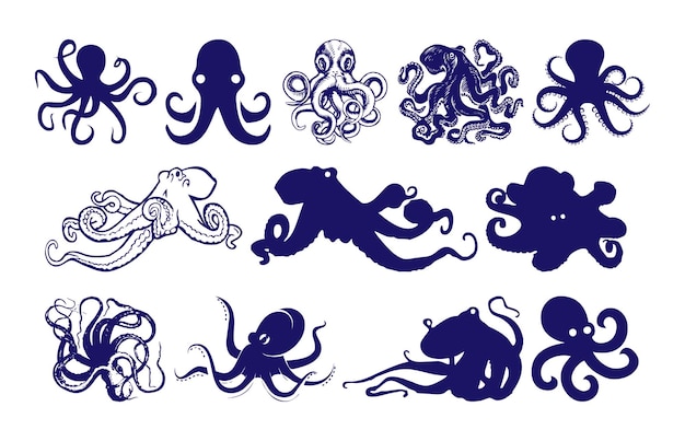 Vector set of illustration octopus flat design