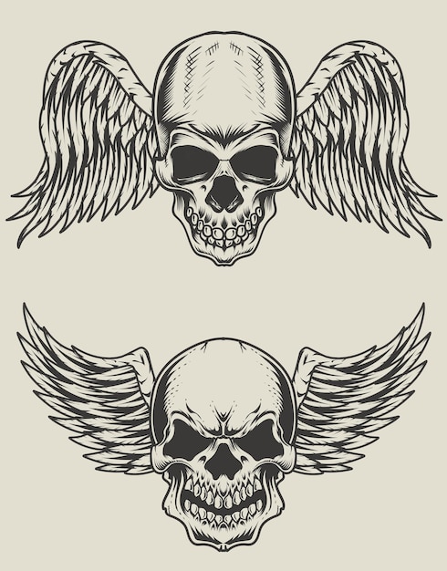 Set illustration skull head with wings