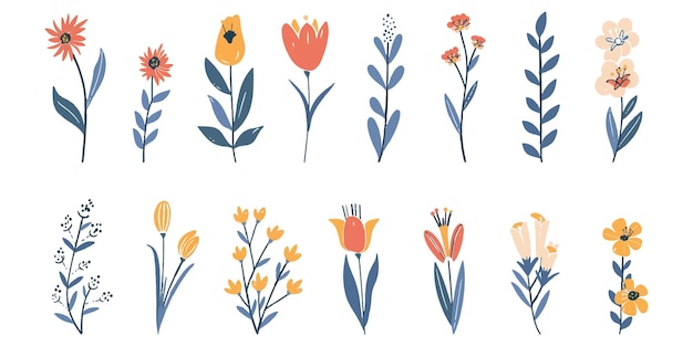Set of illustrations of beautiful colored flowers on a white background