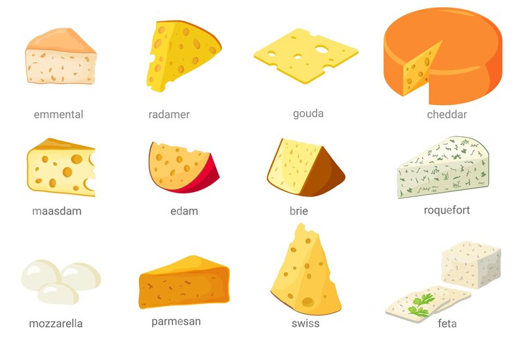 에멘탈 라도미르 체다(Emmental radomir cheddar)가 새겨진 다양한 종류의 치즈 삽화 세트