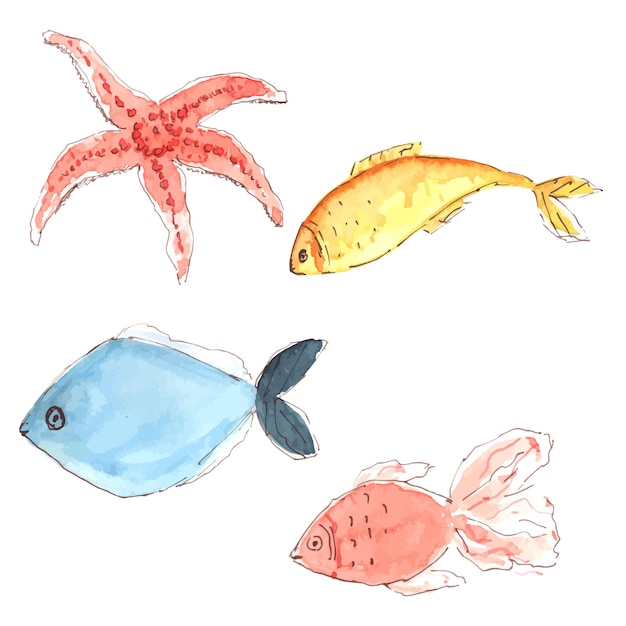 Vector set of illustrations of different types of fish sea or ocean creature