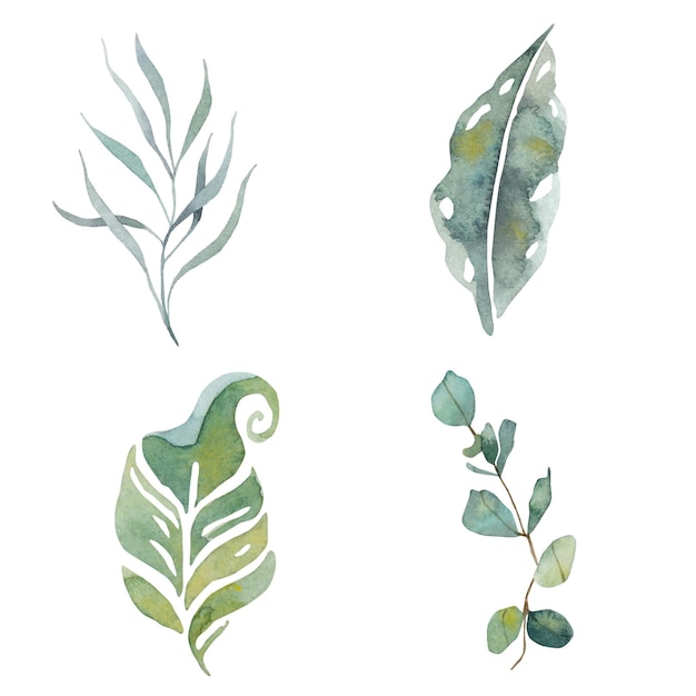 A set of illustrations with green plants