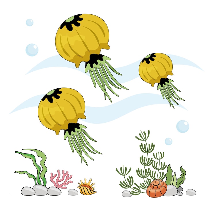 Vector set image of jellyfish insulated yellow jellyfish on a white background seabed
