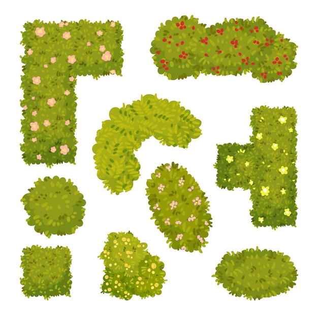 Vector set of images of garden bushes view from above vector illustration on white background
