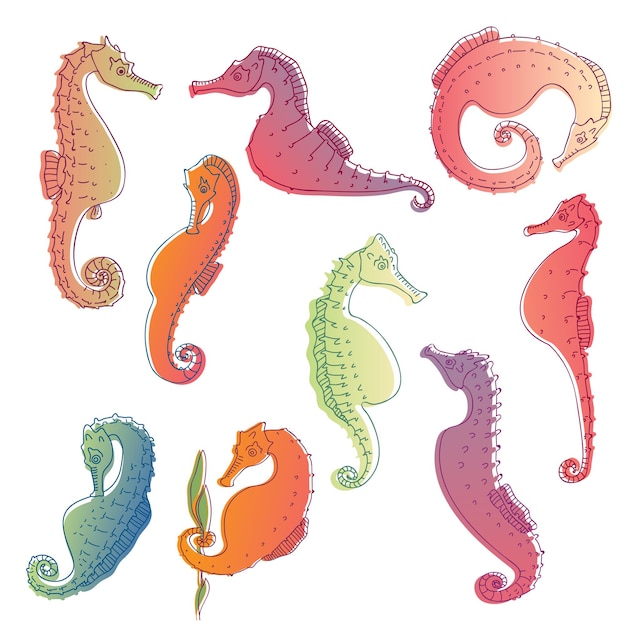 Set of images of sea horses vector illustration