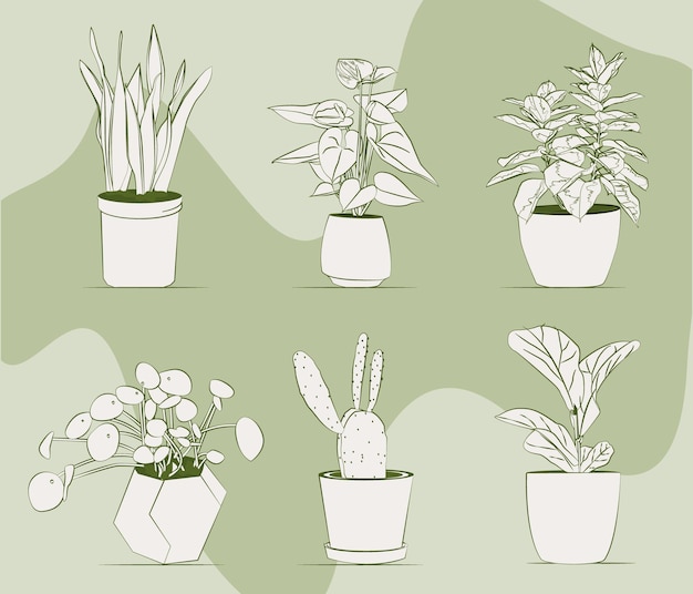 Set of indoor plants flat line arts with green background.
