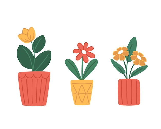 Vector set of indoor plants in modern pots in flat style