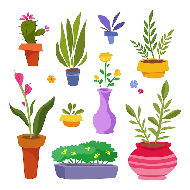 Vector a set of indoor plants in pots ficus cactus rose etc for interior decoration and botanical shop