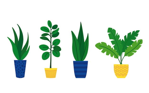 Set of indoor plants in pots in a flat style