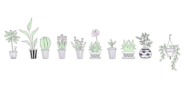 Set di piante da interno in vasi che disegnano a mano un sacco di vasi da fiori cactus tulipani fiori germogli vettore