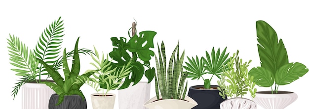 Vector set of indoor tropical plants in fashionable pots