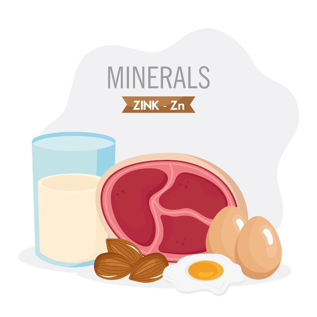 Vector set ingrediënten met zink