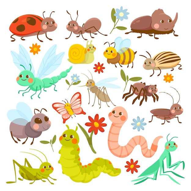 Set of insects