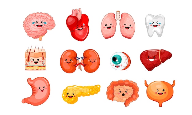 Vector set internal organs emotions