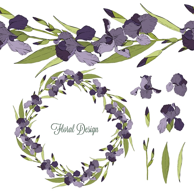 Set of iris floral elements isolated