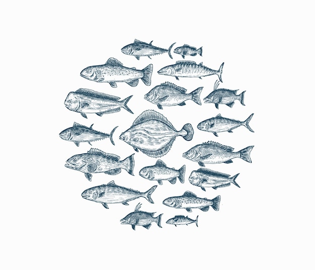 Vector set of isolated blue hand drawn fish on white background