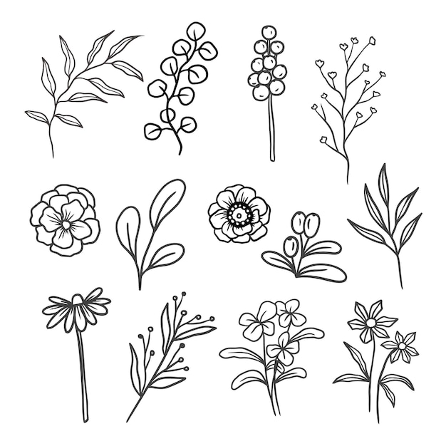 SET OF ISOLATED BOTANICAL LINEART