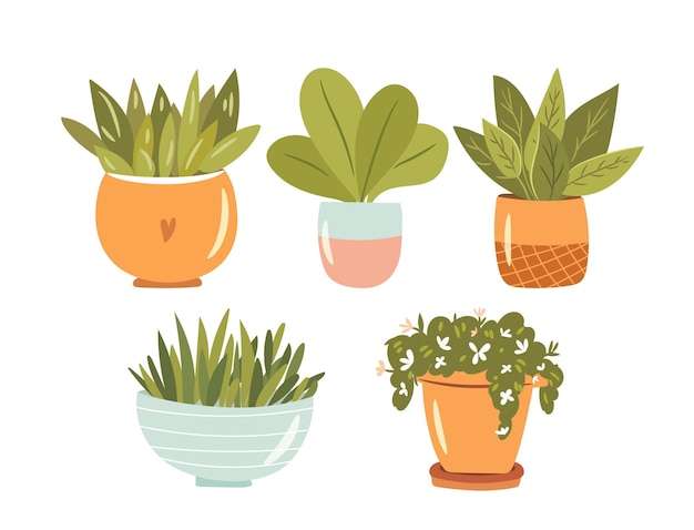 Set of isolated cute houseplants