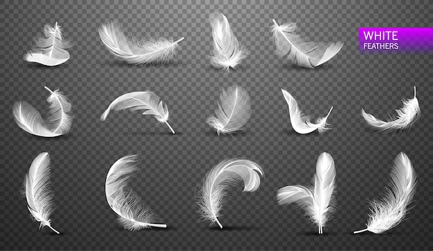 Vector set of isolated falling white fluffy twirled feathers on transparent background in realistic style vector illustration