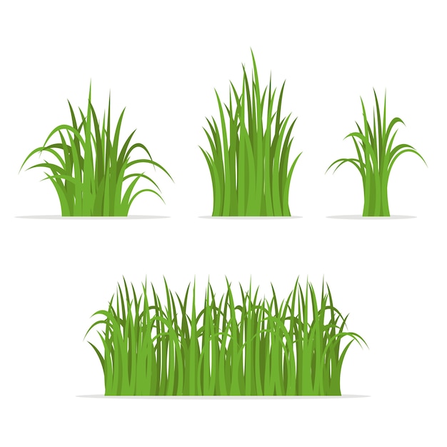 Set of isolated grass illustration on white background.