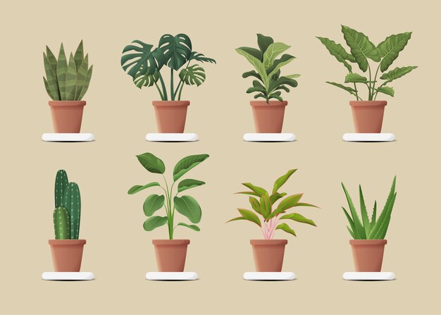 Set of Isolated Hand Drawn Green Colorful Houseplants In Flower Pots Illustration