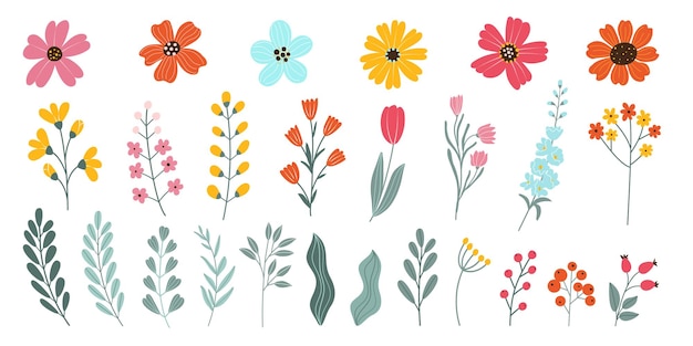 Impostare fiori isolati di primavera e d'estate disegnati a mano su sfondo bianco