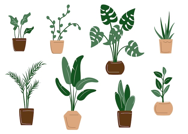 A set of isolated illustrations of indoor plants in a flat style