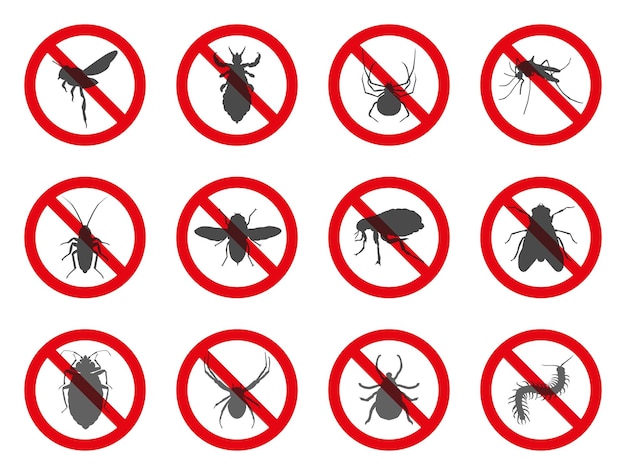 격리된 금지 곤충 세트 사람에게 불편을 주는 곤충