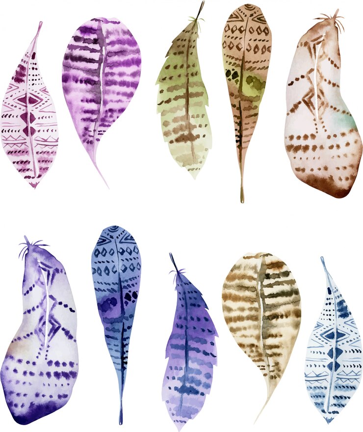 Vector set of isolated watercolor owl feathers