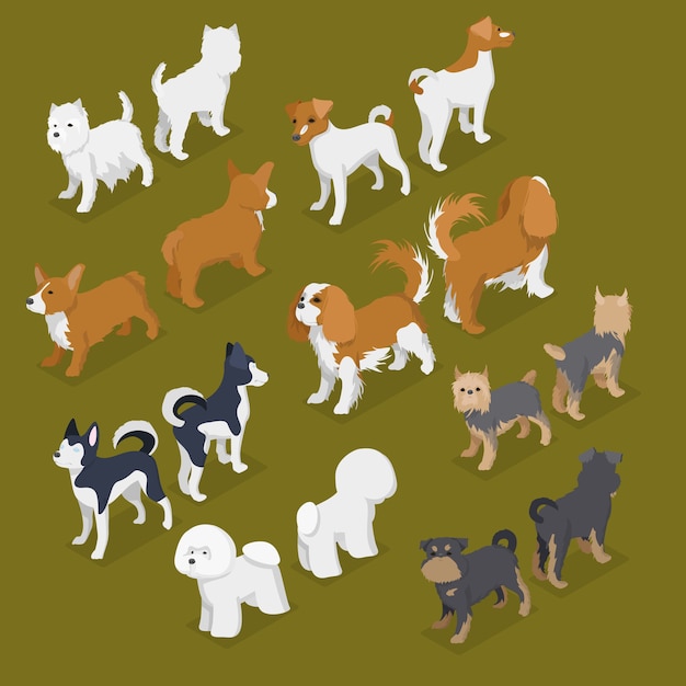 Set isometrische kleine hondenrassen