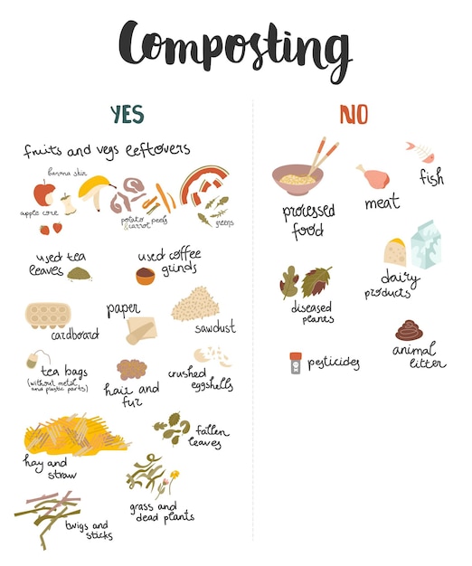 Vector set of items for composting all things that can be and can not be composted with hand drawn texts