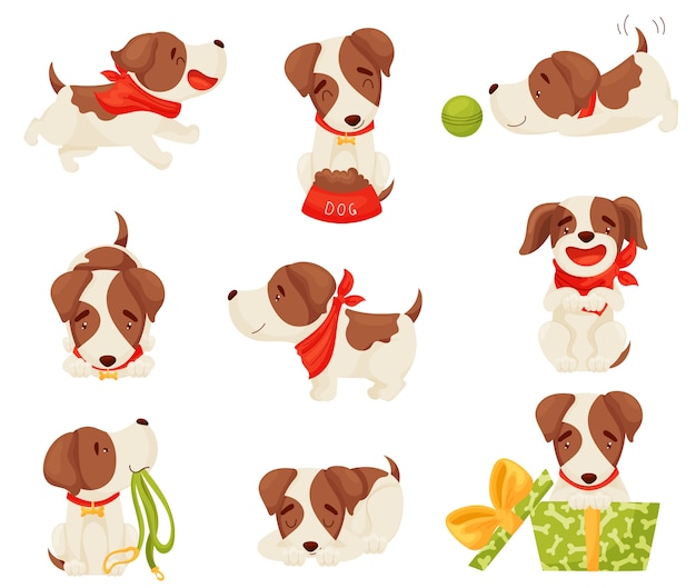 Set of a joyful spotted puppy in various poses