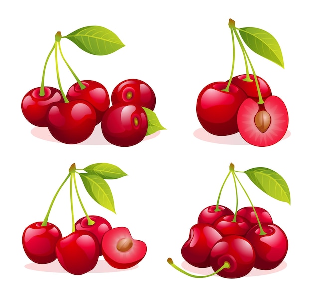 Set of juicy cherry illustrations isolated on white background